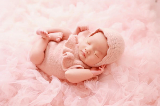 河北8个月宝宝辅食